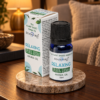 Pflanzenbasiertes Aromaöl – Relaxing in einer warm beleuchteten Wohnszene